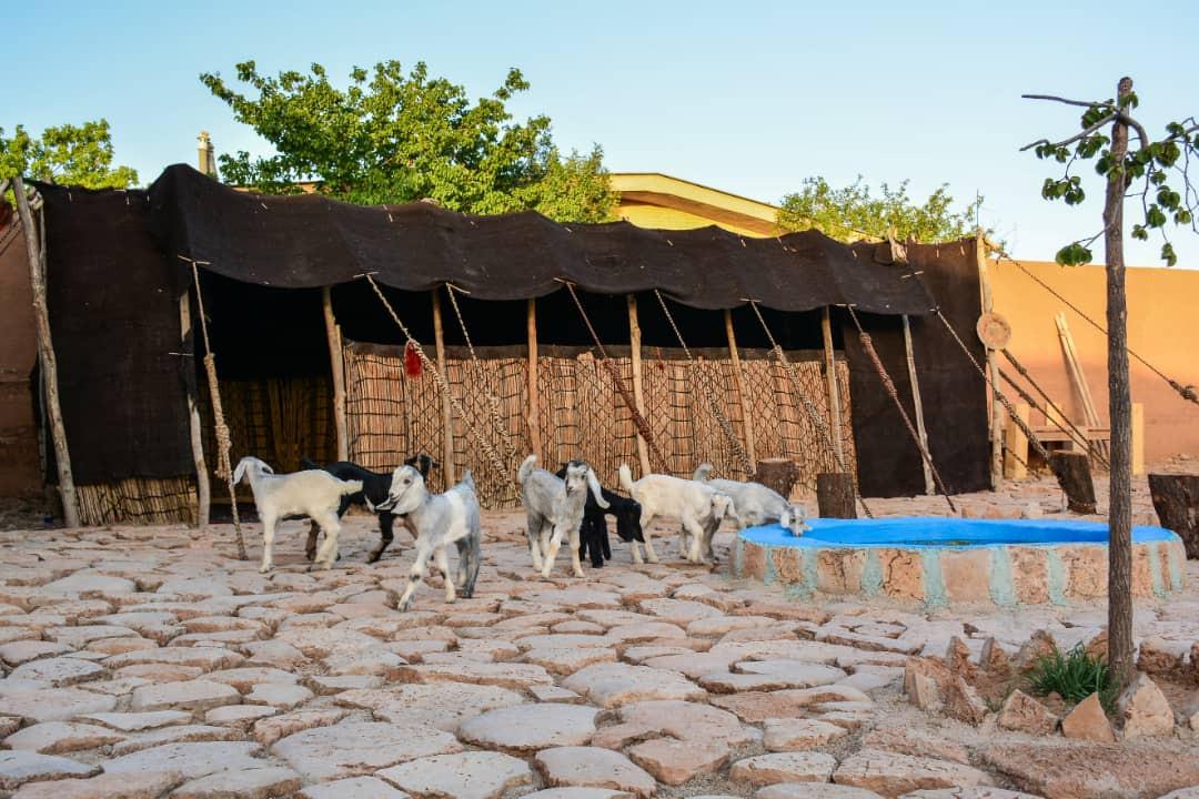 اقامتگاه بوم گردی قصر یعقوب در صفاشهر