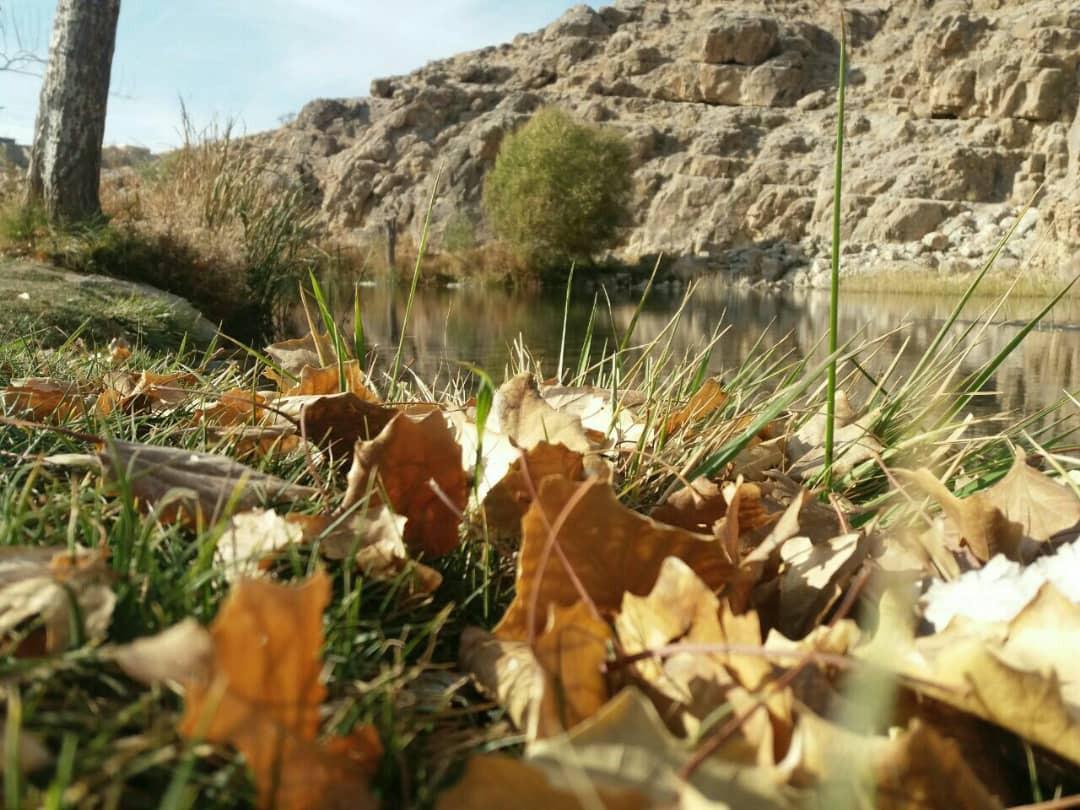 اقامتگاه بوم گردی قصر یعقوب در صفاشهر