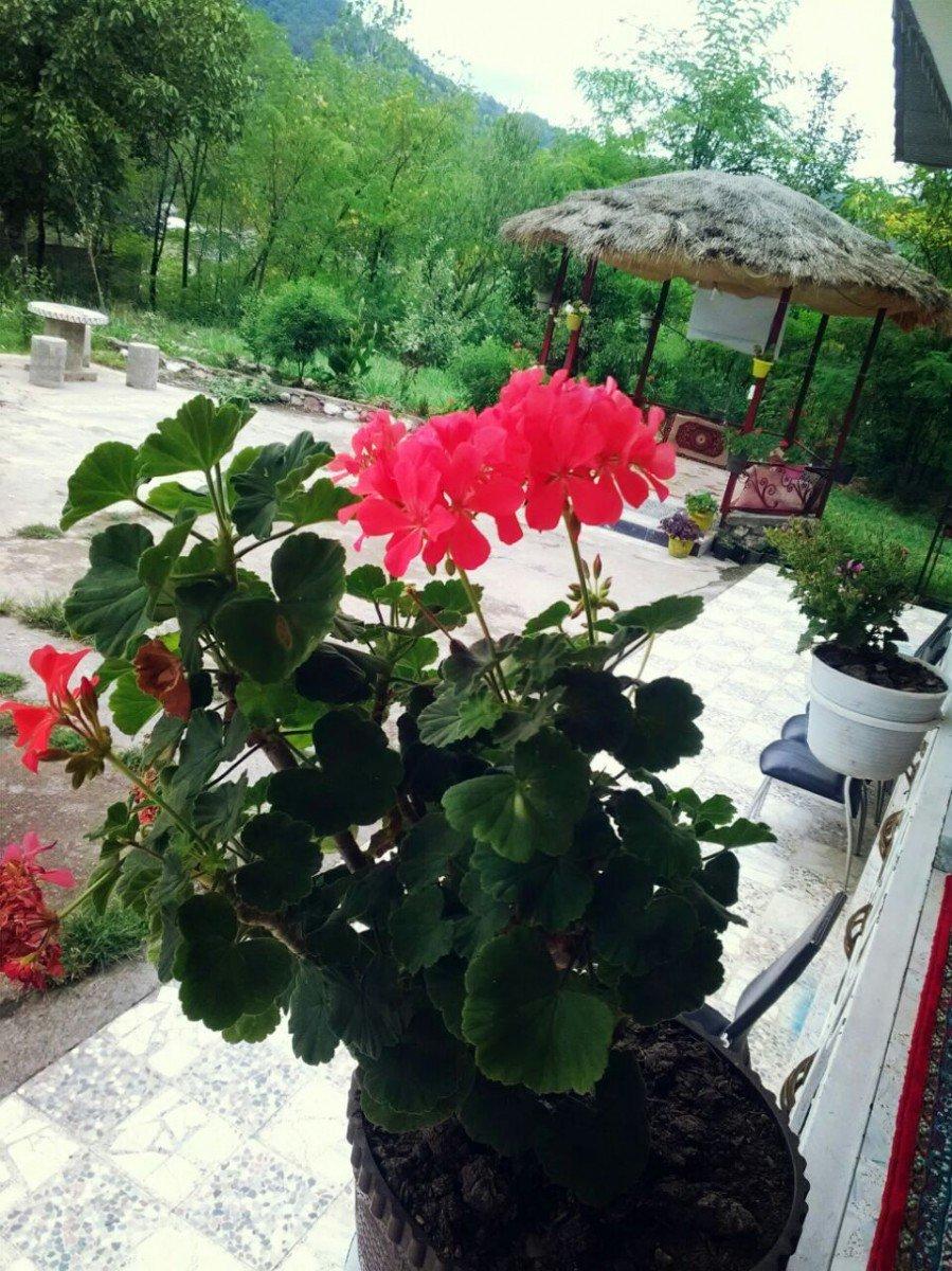 ویلا اجاره ای در قلعه رودخان فومن دو خواب