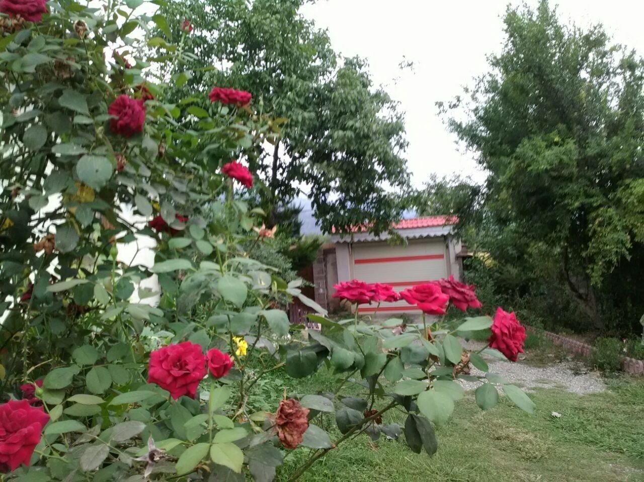 ویلا اجاره ای در قلعه رودخان فومن دو خواب