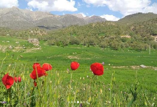 اجاره اقامتگاه بوم گردی در فارسان