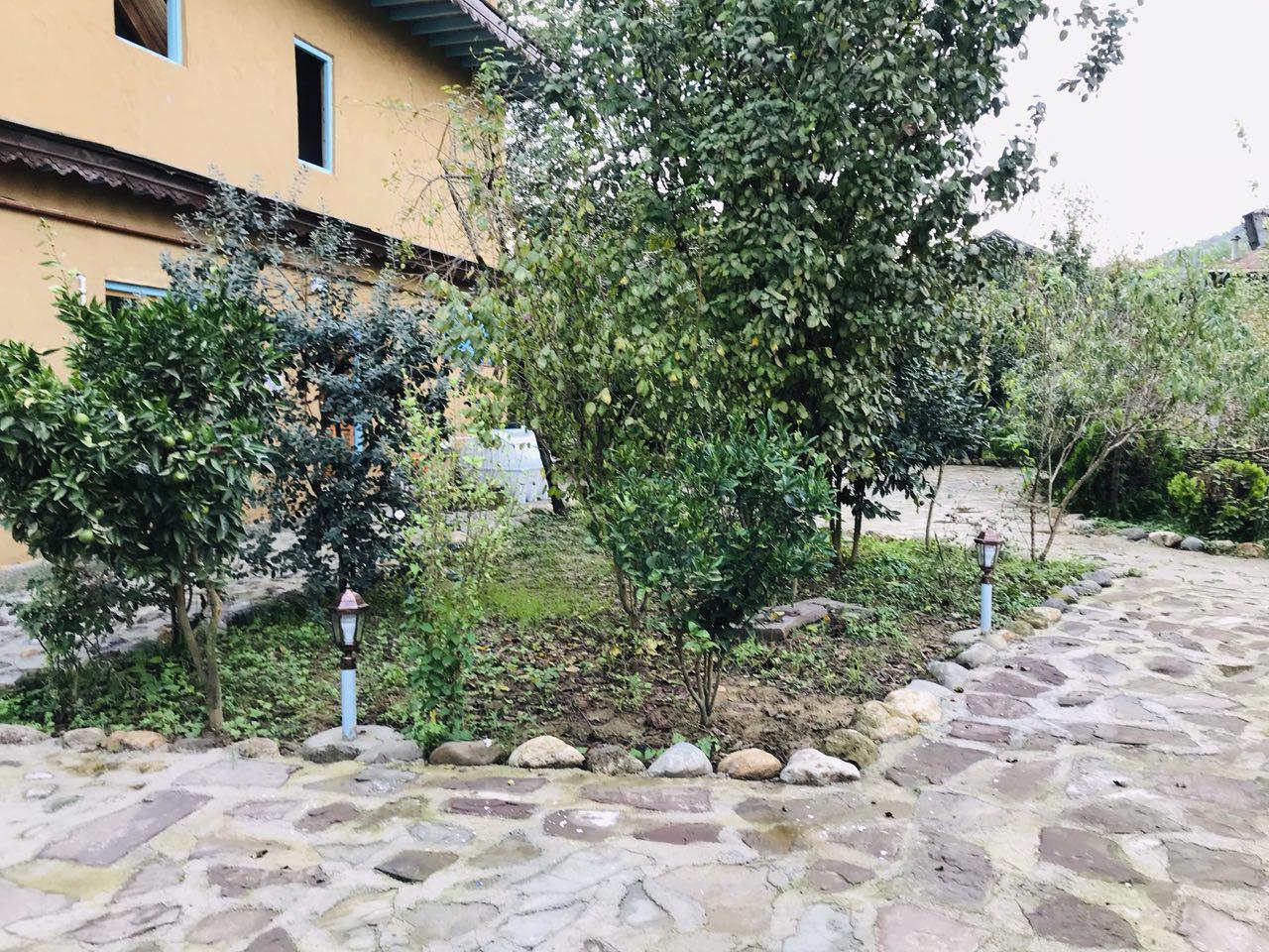 اقامتگاه بومگردی در فومن جنگلی در کنار رودخانه