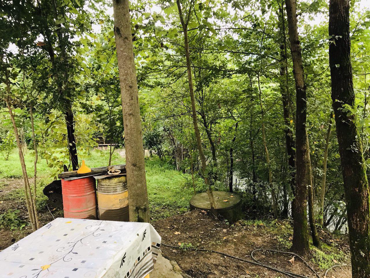 اقامتگاه بومگردی در فومن جنگلی در کنار رودخانه