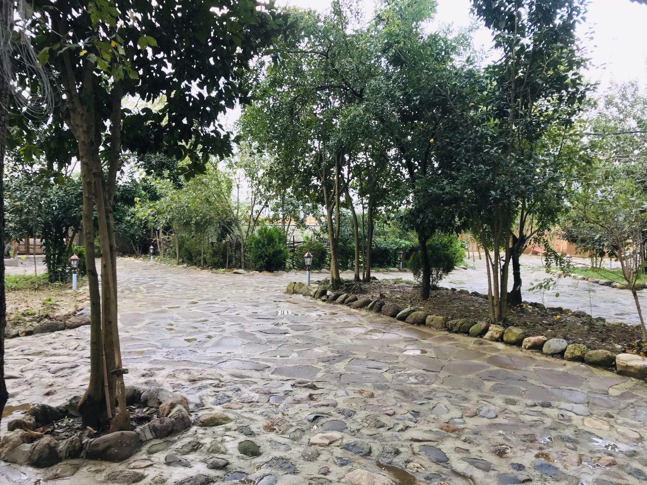 اقامتگاه بومگردی در فومن جنگلی در کنار رودخانه