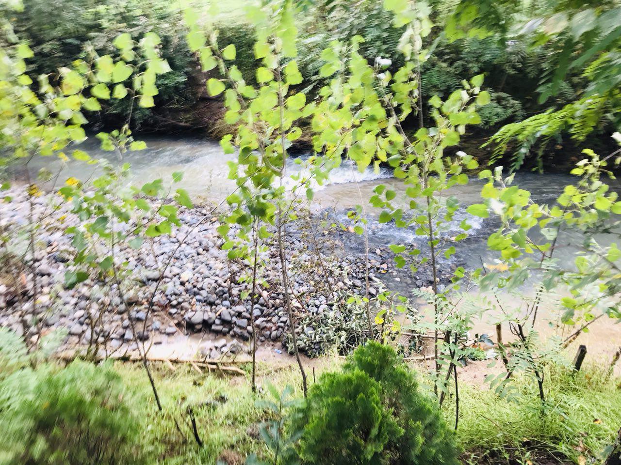 اقامتگاه بومگردی در فومن جنگلی در کنار رودخانه