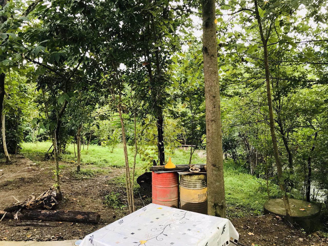 اقامتگاه بومگردی در فومن جنگلی در کنار رودخانه