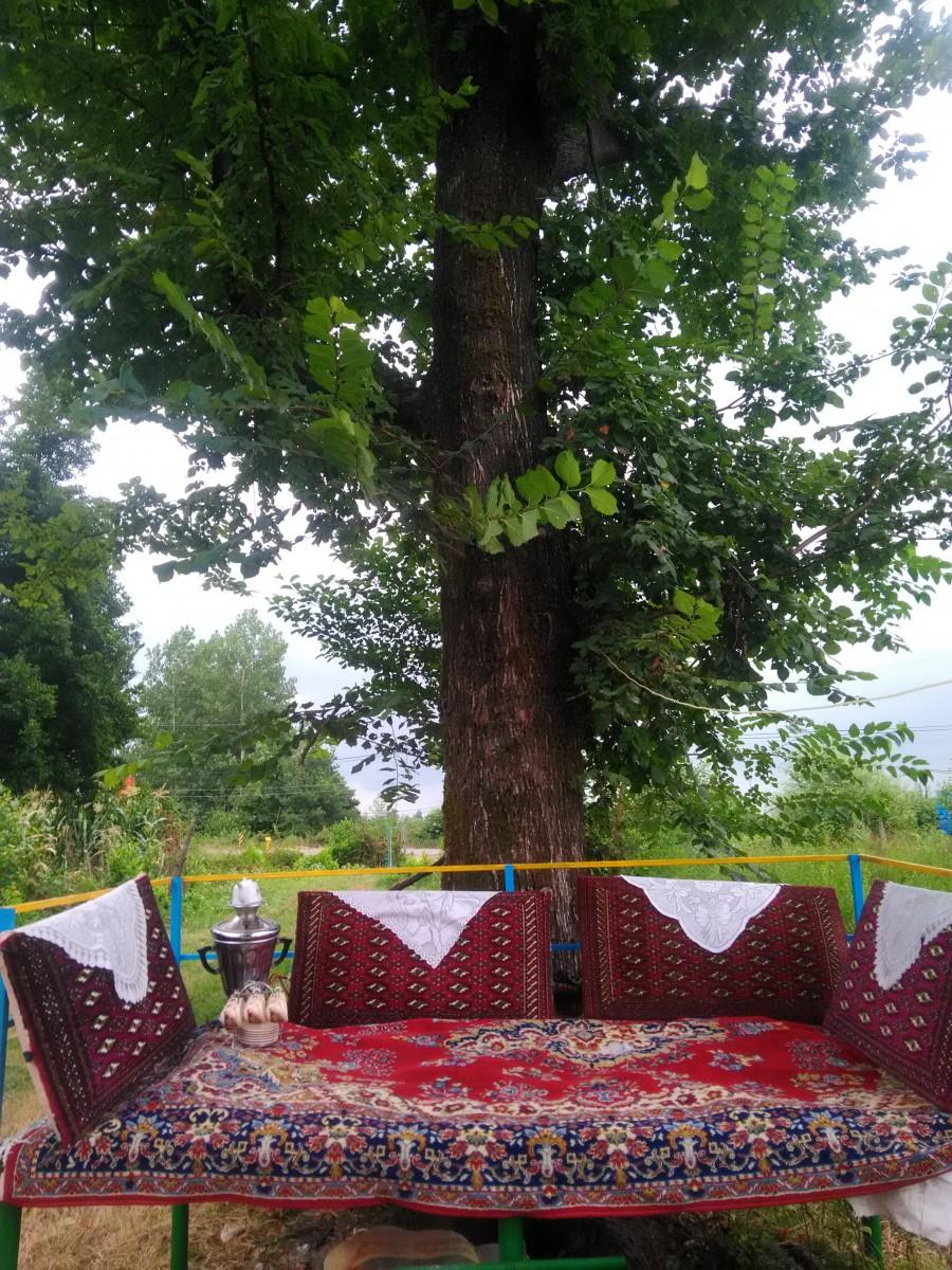 اجاره کلبه جنگلی جاده قلعه رودخان