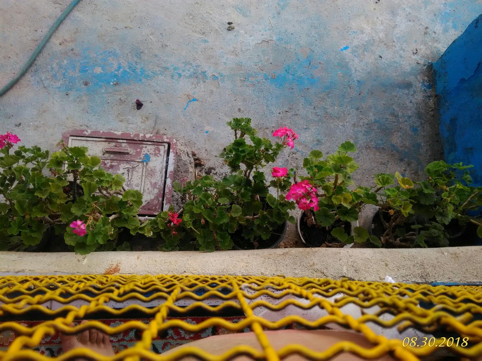 اجاره کلبه جنگلی جاده قلعه رودخان