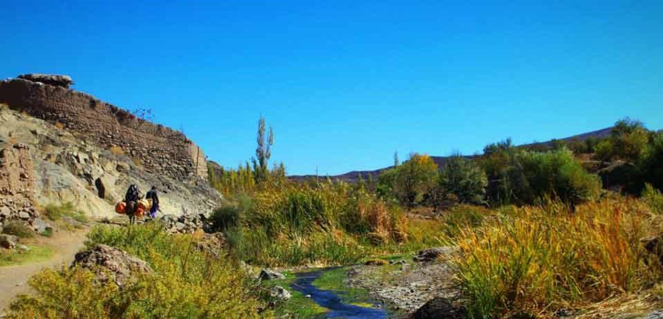 اجاره اقامتگاه بوم گردی در کاشمر