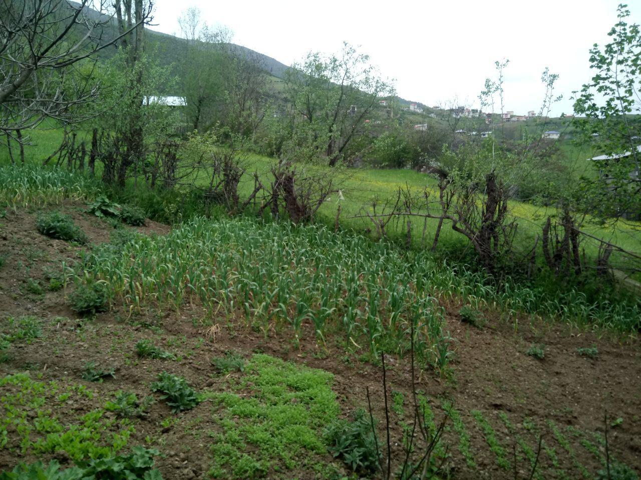 اقامتگاه بوم گردی باغ بهشت رامسر