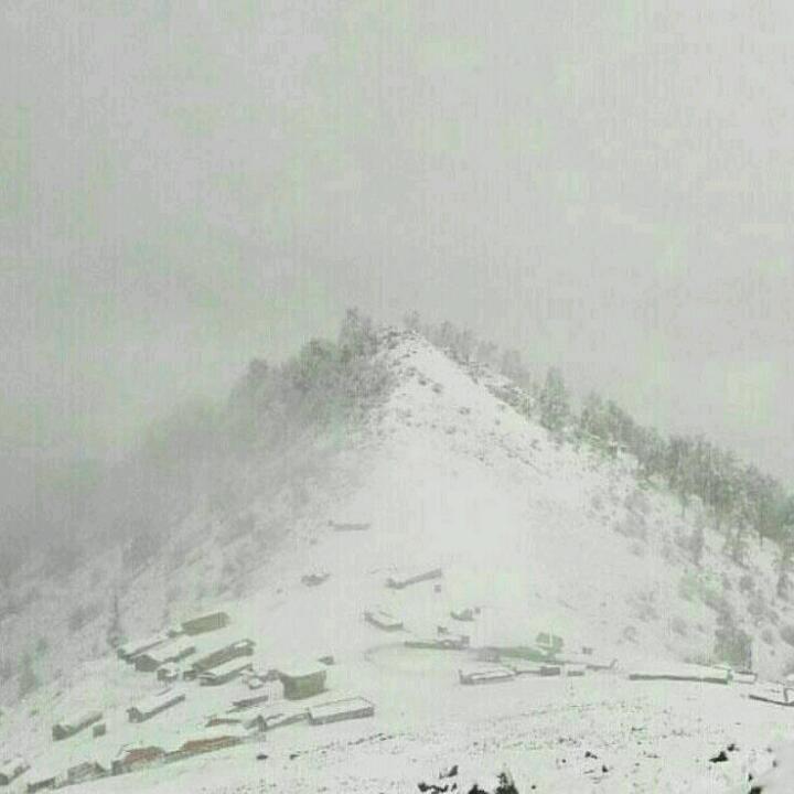 اجاره ویلا در ماسال روزانه دامنه کوه