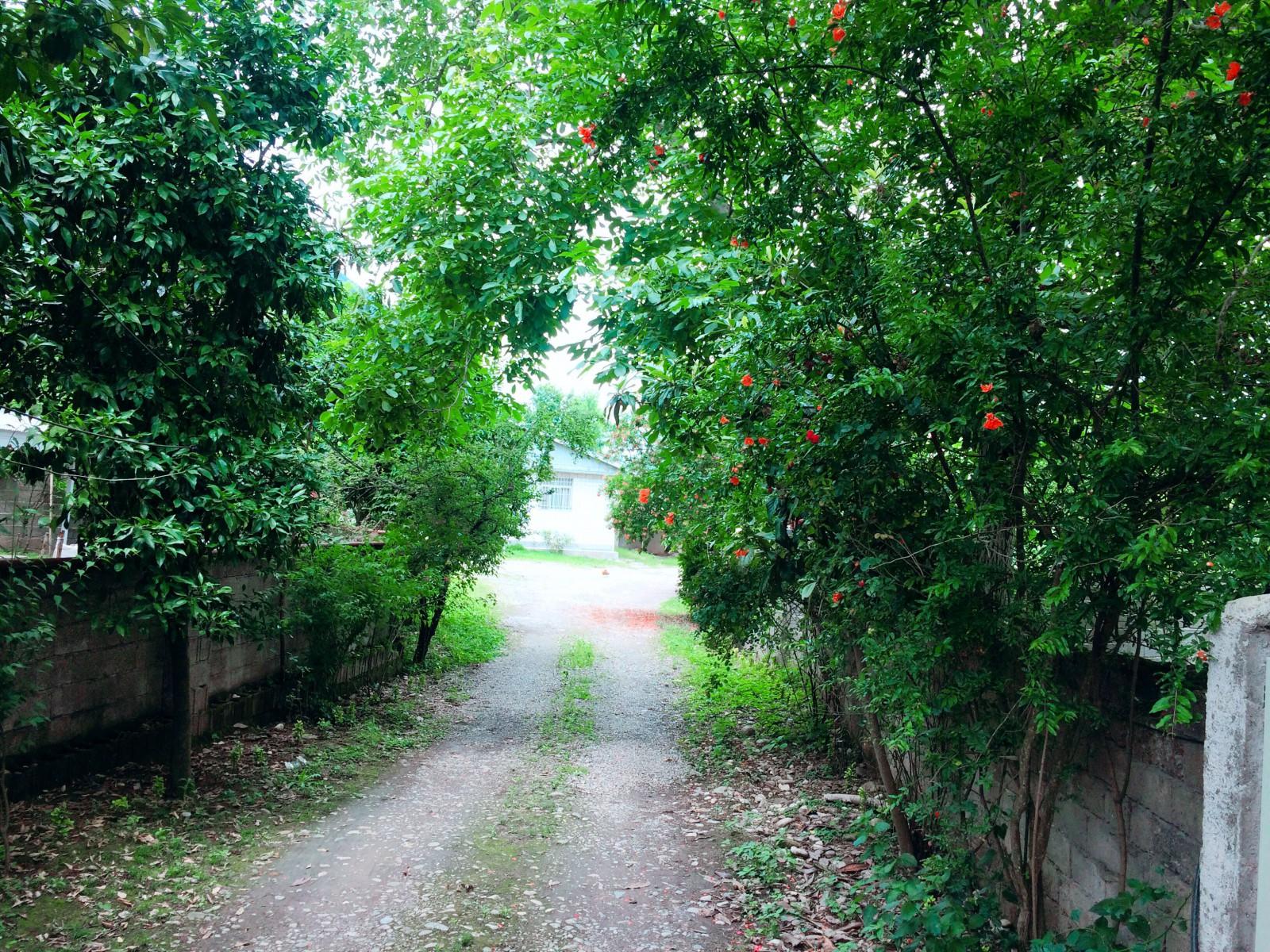 اجاره ویلا لاکچری در ماسال کوهپایه ای