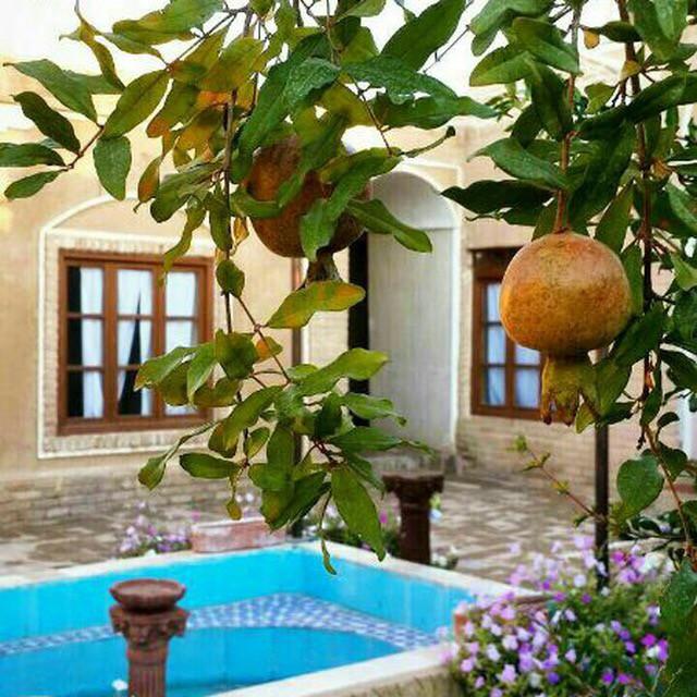 اقامتگاه بوم گردی گلستان ادیب گناباد