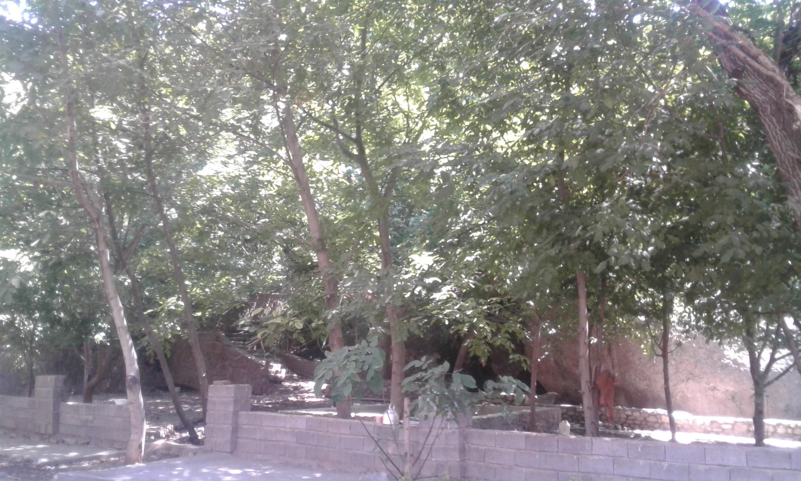 اجاره ویلا در دماوند با استخر