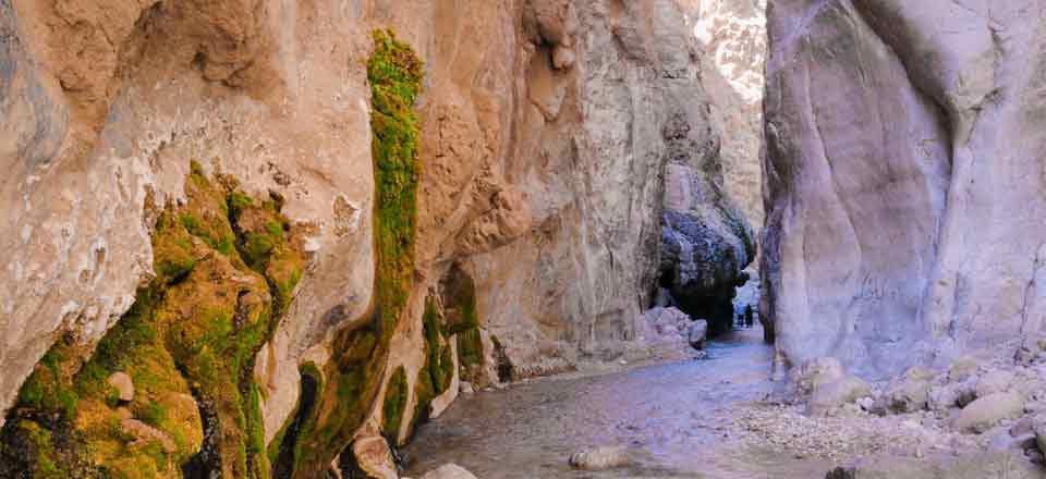 اقامتگاه بوم گردی ستاره کویر طبس