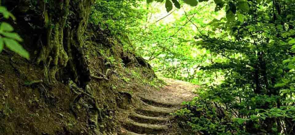 اقامتگاه بوم گردی میلاش در رودسر