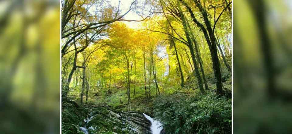 اقامتگاه بوم گردی خوش نشین در رودبار