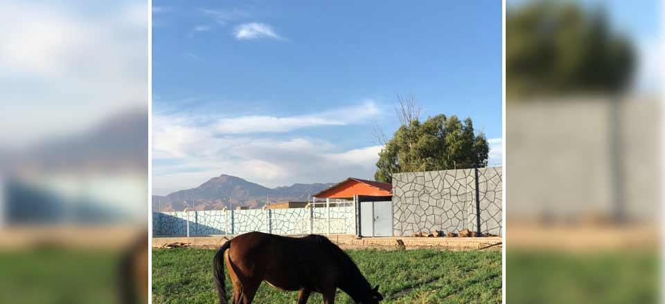 اجاره اقامتگاه بوم گردی قصر شیرین در گرمسار