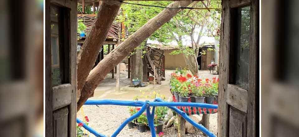 اقامتگاه بوم گردی عاروس ویشه پریدار در آمل