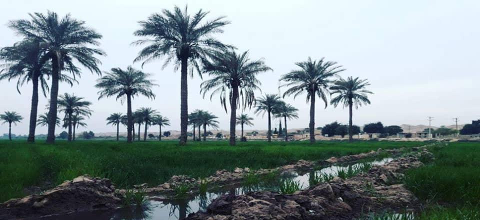 اجاره اقامتگاه بوم گردی ابوعلی شوش