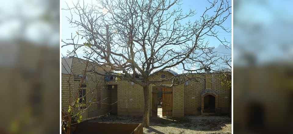 اجاره اقامتگاه بوم گردی حاج بابای آفوس در آفوس