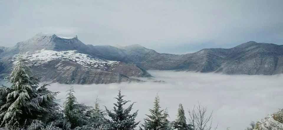 اقامتگاه کلبه چوبی نیسا در رامیان