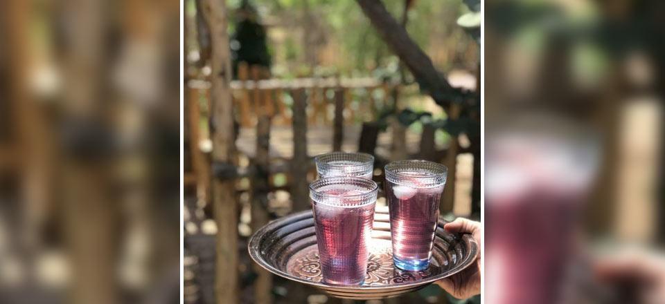 اقامتگاه بوم گردی ارغوان در ابهر