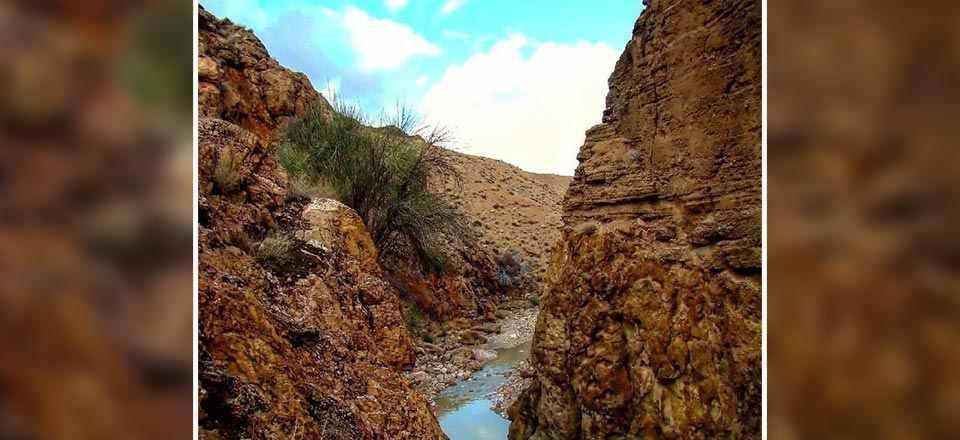 اقامتگاه بوم گردی بشروی در بشرویه