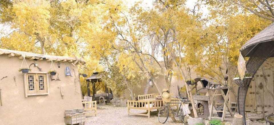 اقامتگاه بوم گردی سرو کهن در ابرکوه