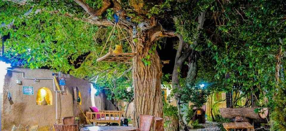 اقامتگاه بوم گردی سرو کهن در ابرکوه