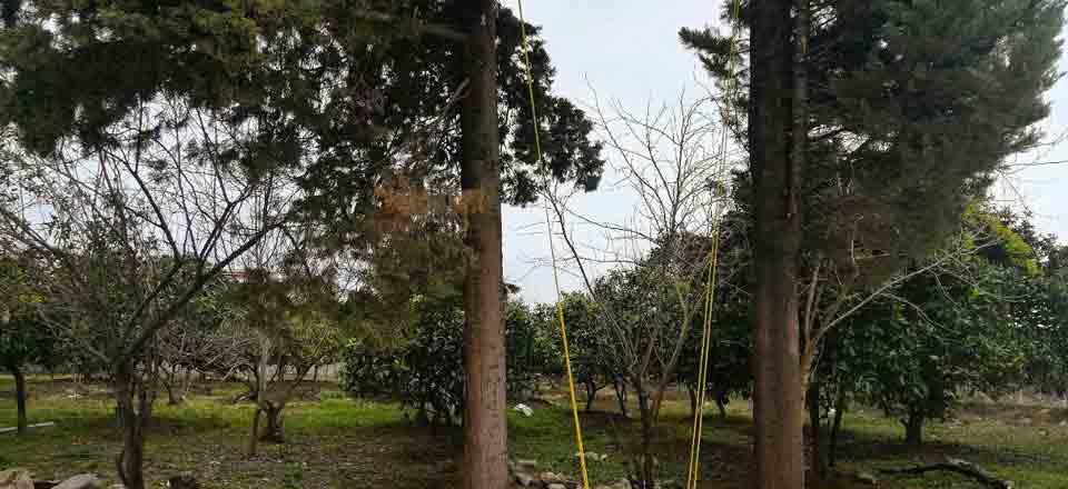 اقامتگاه بوم گردی حاج حسین پرویزی تالش