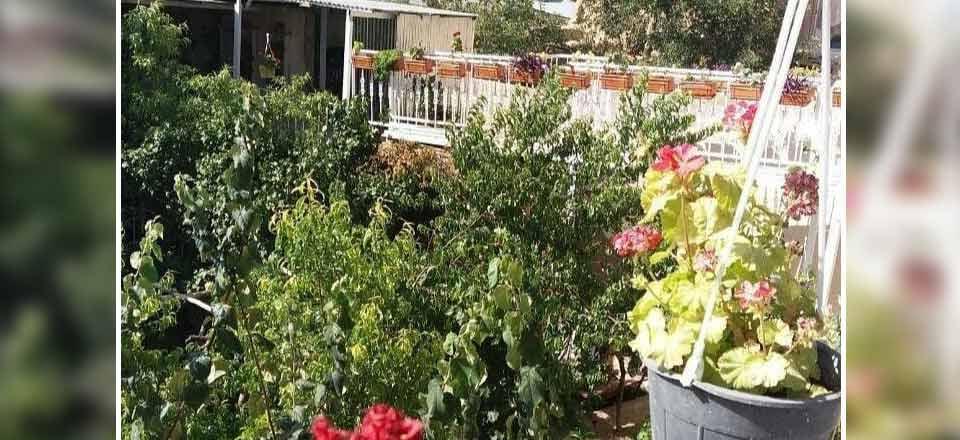 اقامتگاه بوم گردی ننه آقا خوانسار