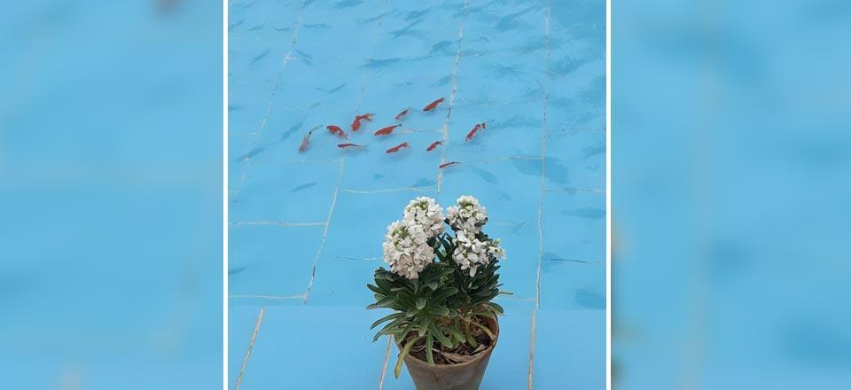 اقامتگاه بوم گردی هشت طاق در طبس