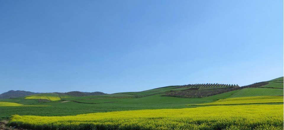 اجاره اقامتگاه هزاردره خالد نبی در کلاله