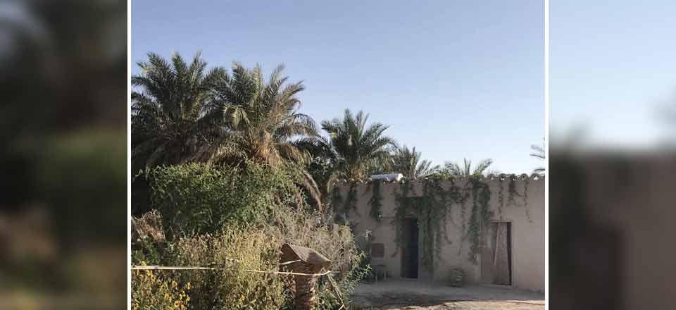 اجاره خانه روستایی آفتاب ریگان در بم