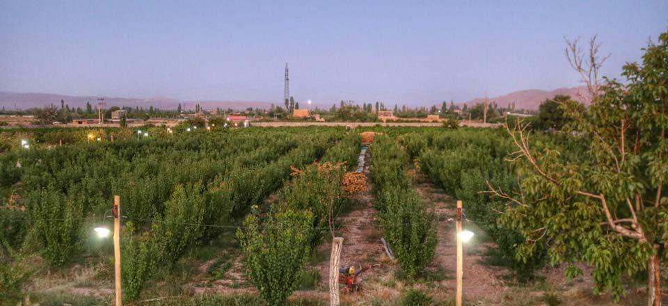 اجاره اقامتگاه بوم گردی عمارت کهبد شاهرود