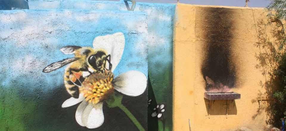 اقامتگاه بوم گردی شاهوار در شاهرود