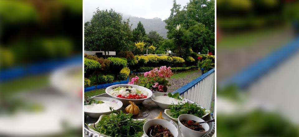 اقامتگاه بوم گردی باغ بهشت تنکابن