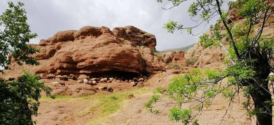 رزرو بومگردی بام بوژان در نیشابور