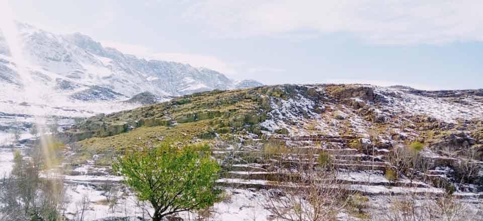 اقامتگاه مزرعه آفتاب چغاخور در بلداجی