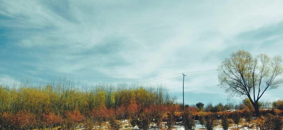 اقامتگاه مزرعه آفتاب چغاخور در بلداجی