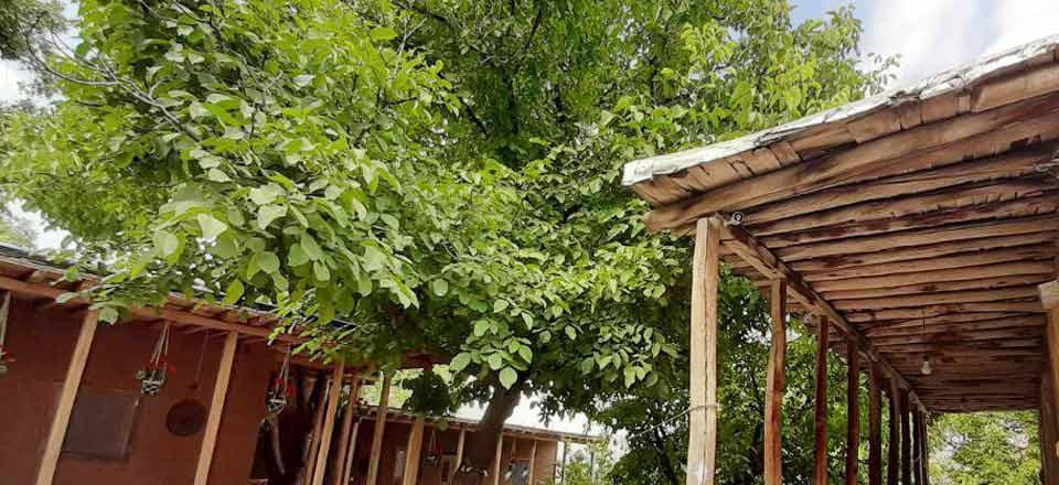 اقامتگاه بوم گردی کدخدا در الموت