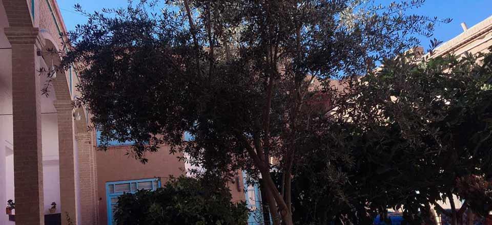 اقامتگاه بوم گردی عمارت کلانتر در تفت