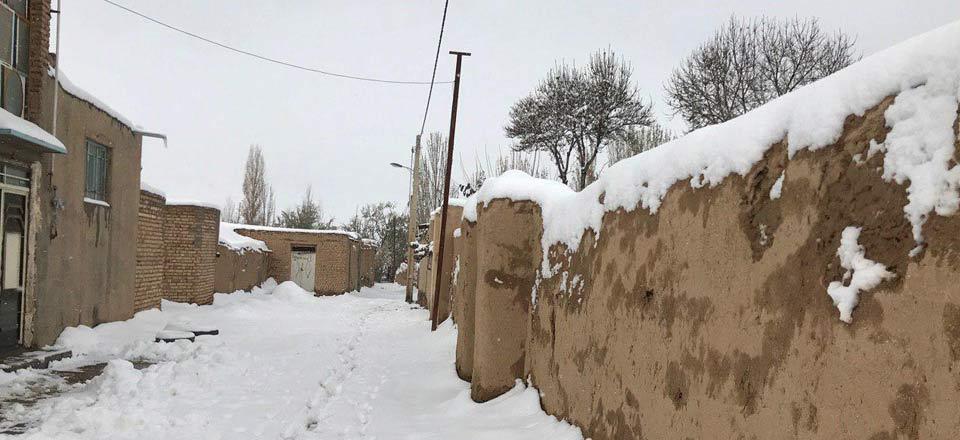 اقامتگاه بوم گردی گیسو بانو در دلیجان