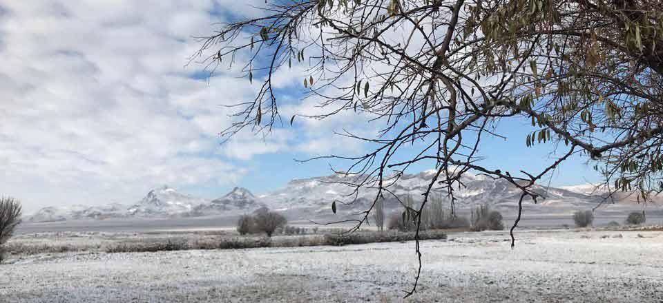 اقامتگاه بوم گردی گیسو بانو در دلیجان