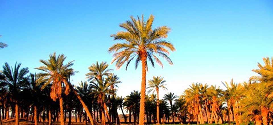 اقامتگاه بوم گردی یلان در نهبندان