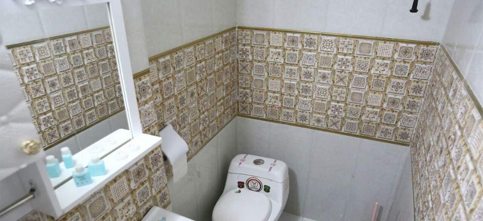 اجاره اقامتگاه بوم گردی شاخه نبات در یزد