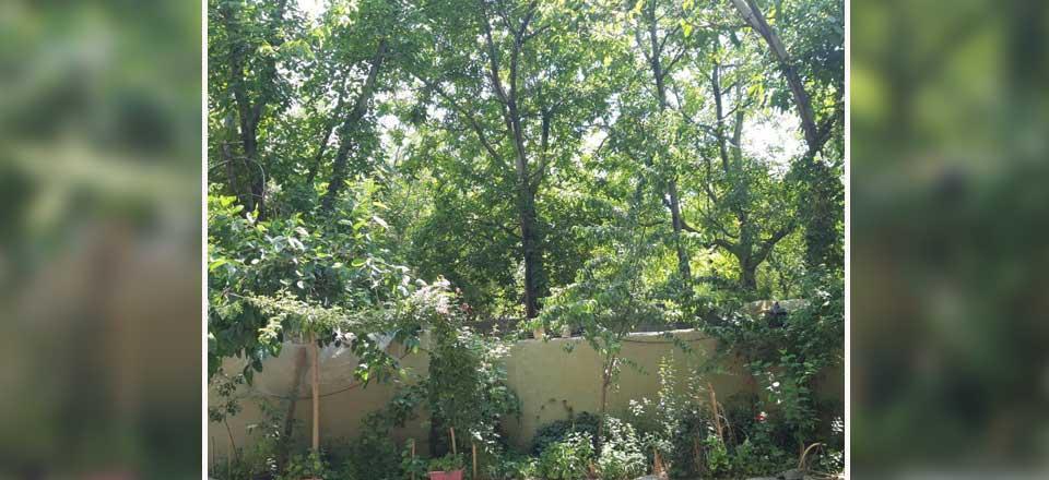 اجاره اقامتگاه بوم گردی دال خانی در بافت