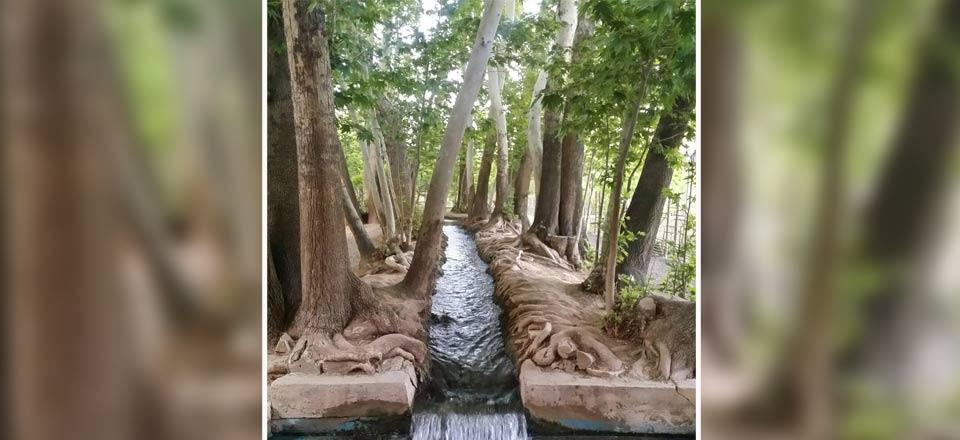 اقامتگاه سنتی باغ پهلوان پور در مهریز