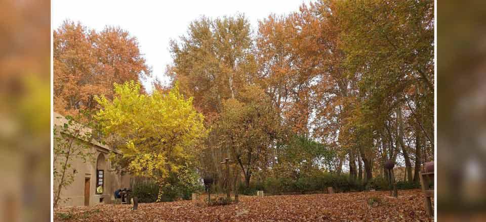 اقامتگاه سنتی باغ پهلوان پور در مهریز